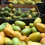 FSSAI asks fruit traders, food biz not to use banned product ‘calcium carbide’ for fruit ripening