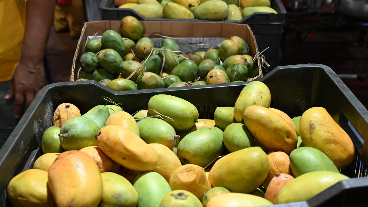 FSSAI asks fruit traders, food biz not to use banned product ‘calcium carbide’ for fruit ripening