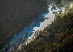 A forest fire in Nainital district of Uttarakhand