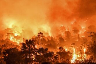 Greece wildfires: 13 arrested after Hydra island’s only pine forest set ablaze by fireworks