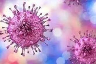 Pakistan: New case of Congo virus reported in Quetta