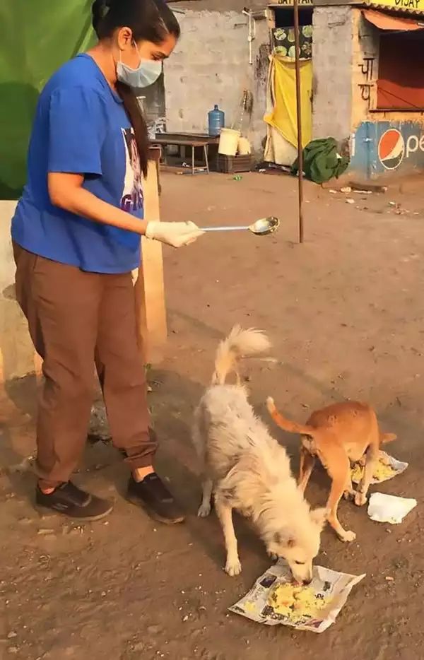 I've adopted several independent dog