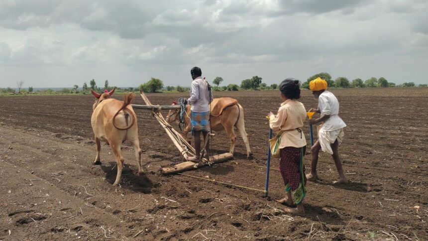 BJP MLA protests denial of farmer’s privilege to cultivate on govt land in Karnataka