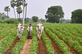 Socio Economic Outlook 2024 points to significant change in distribution and number of agricultural landholdings in Telangana