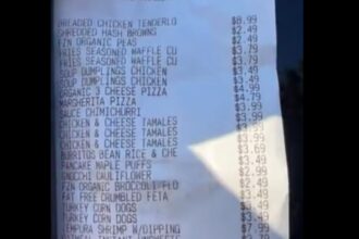 California dad’s grocery list goes viral: ‘What it takes to feed six kids’