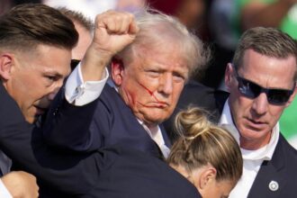 Photo of bloodied, defiant Trump takes on patriotic meaning