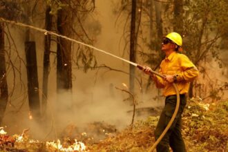 California Park wildfire destroys more than 3.5 lakh acres, becomes largest in US