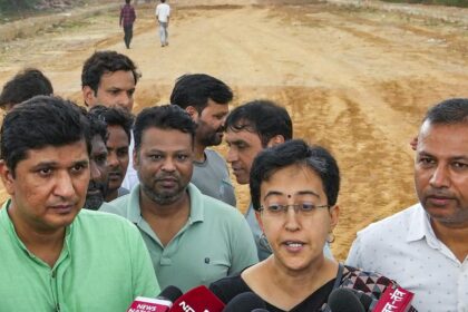 Delhi govt’s fact finding panel visits area where 1,100 trees ‘felled’, alleges cover up