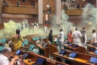 Parliament security breach case: Delhi Police files supplementary charge sheet