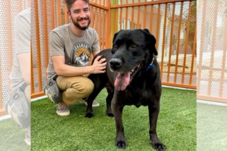 ‘Boring’ dog returned to shelter for sleeping too much, founds new home in Las Vegas