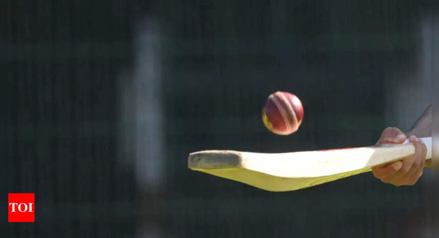 Dublin to be home to Ireland’s new national cricket stadium |