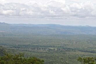 Segur plateau elephant corridor: Private resort owners move Madras High Court challenging inquiry committee’s orders 