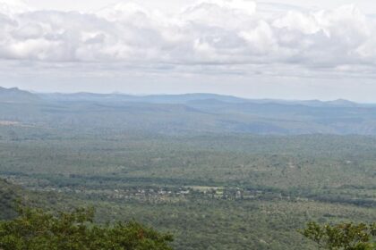 Segur plateau elephant corridor: Private resort owners move Madras High Court challenging inquiry committee’s orders 