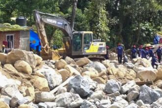 Search mission resumes in landslide-hit Wayanad; hundreds of civil volunteers take part