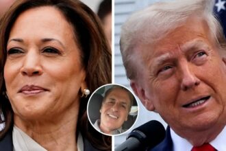 Mark Cuban: Trump vs Kamala: Mark Cuban asks netizens who should children emulate, here are the results