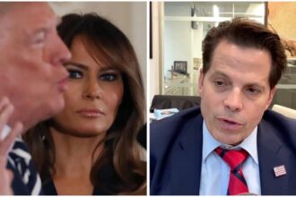 Melania Trump: ‘Melania hates Donald, prefers Kamala Harris’, claims Trump ex-aide