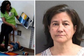 Florida Teacher: Florida teacher arrested for alleged abuse of autistic child at Forest Lake Elementary