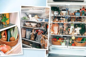 Fridgescaping takes over social media: Why people are transforming their fridges into works of art