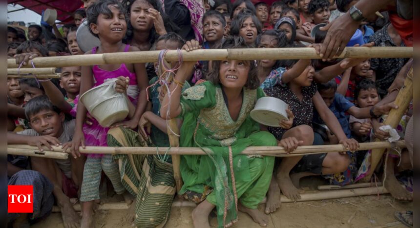 Thousands of Rohingya flee to Bangladesh from violence in Myanmar, official says