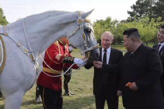 Putin gifts Kim Jong-un 24 horses in exchange for artillery shells used in Ukraine war