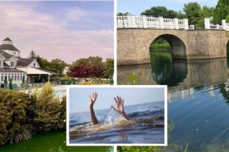 Two sisters, aged 2 and 4, drown in Long Island pond after mother falls asleep