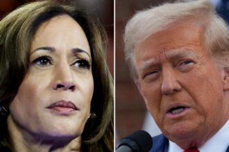 Harris vs Trump: Restrained by Biden’s rules? Team Kamala worried ahead of debate | World News