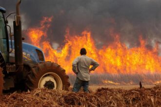 Brazil: Brazil faces worst drought in 70 years, fuelling wildfires across the country