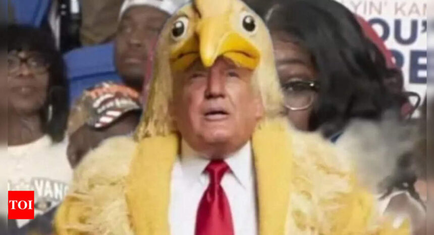 Kamala Harris campaign calls Trump a ‘chicken’ after he backs out of third debate