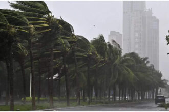 Typhoon Yagi claims 350 lives, 74 in Myanmar; 89 missing