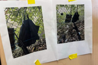 Donald Trump assassination attempt: What was Ryan Wesley Routh planning to do with GoPro camera?