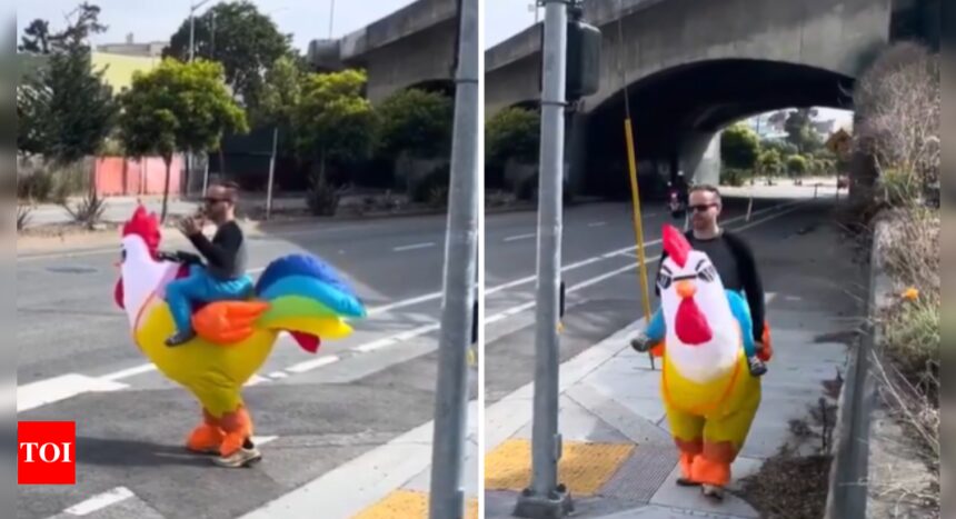 Watch: San Francisco officer dresses in bright chicken costume to promote traffic safety