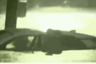 ‘I couldn’t wait …’: Reporter halts live broadcast, jumps into water to save drowning woman