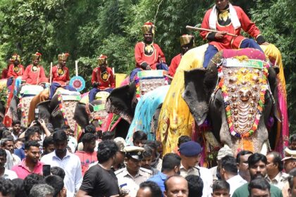 It’s Dasara season and the jumbos are back in Mysuru
