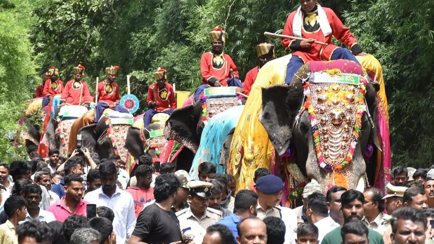 It’s Dasara season and the jumbos are back in Mysuru