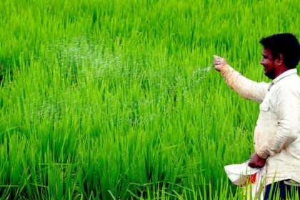 Union Cabinet approves Digital Agriculture Mission along with six other schemes for agri sector, worth nearly ₹14,000 crore