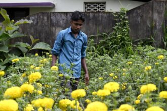 Onam 2024: Vattiyoorkavu junction transformed into garden with flowers and vegetables grown by residents