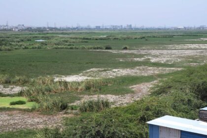Bathymetric study underway in Pallikaranai marsh to improve ecological functions