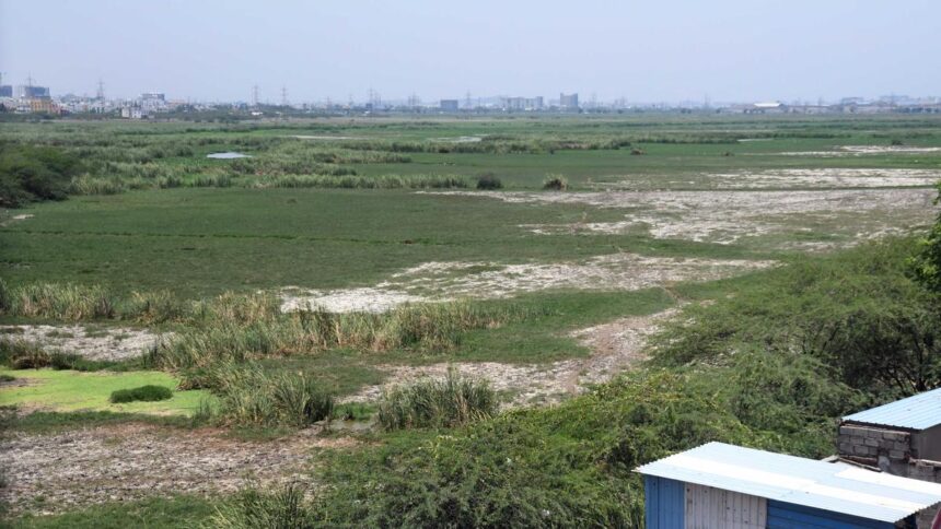 Bathymetric study underway in Pallikaranai marsh to improve ecological functions