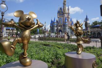 ‘Was screaming, hitting him’: 5-year-old Florida boy suffers cardiac arrest on Disney rollercoaster ride