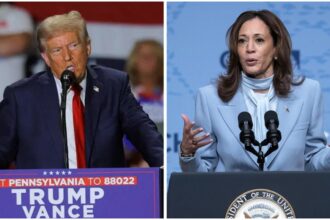 Trump raises 0 million in September as fundraising race intensifies ahead of election