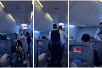 American Airlines: ‘Get your f**king hands off of her’: Heroic passengers unite to protect woman from assault on flight