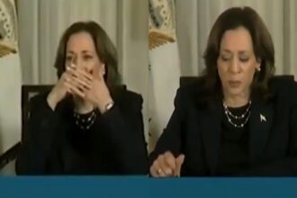 Kamala Harris: ‘It’s a live broadcast’: Harris stumbles during hurricane Milton meeting; MAGA says ‘total incompetence’ Kamala Harris: ‘It’s a live broadcast’: Harris stumbles during hurricane Milton meeting; MAGA says ‘total incompetence’