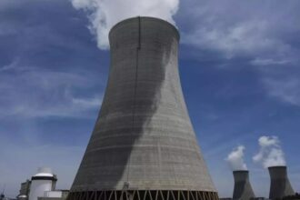 Planned nuclear plant in Kenyan top tourist hub, home to endangered species sparks protest Planned nuclear plant in Kenyan top tourist hub, home to endangered species sparks protest