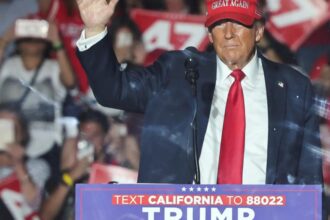 ‘100% Trump supporter’: Man arrested with loaded guns near Coachella rally denies assassination intent ‘100% Trump supporter’: Man arrested with loaded guns near Coachella rally denies assassination intent
