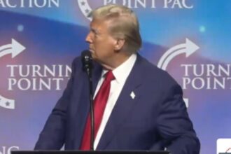 ‘Oooooh…I don’t like my hair tonight’: Trump gets distracted mid-speech at Georgia rally; see video