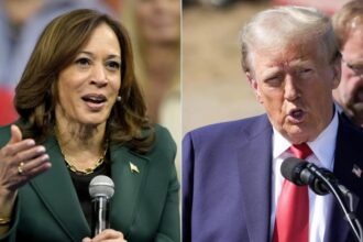 What is fascism? And why does Harris say Trump is a fascist?