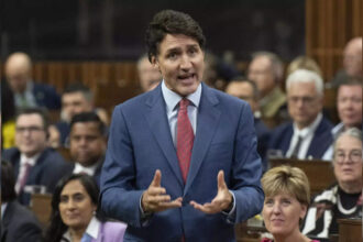 Canada party says will work with opposition parties to oust Trudeau govt Canada party says will work with opposition parties to oust Trudeau govt