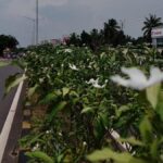 Kochi bypass: NH Action Council seeks clarity on land acquisition