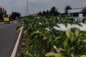 Kochi bypass: NH Action Council seeks clarity on land acquisition