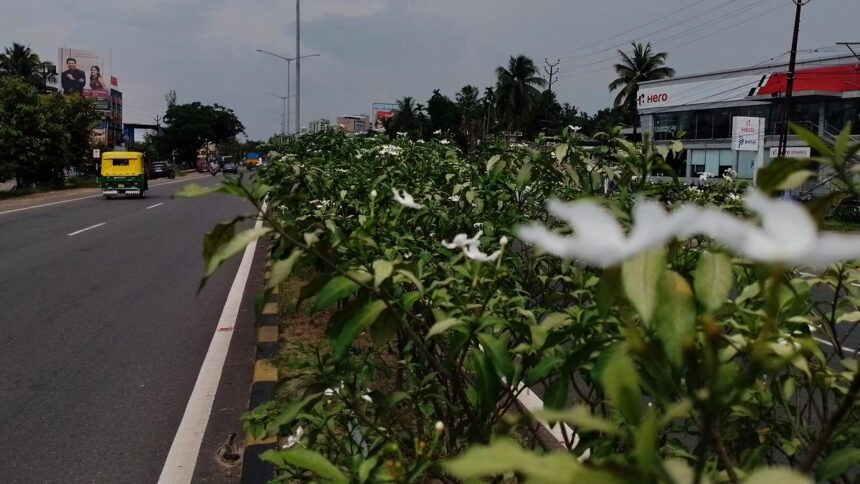 Kochi bypass: NH Action Council seeks clarity on land acquisition